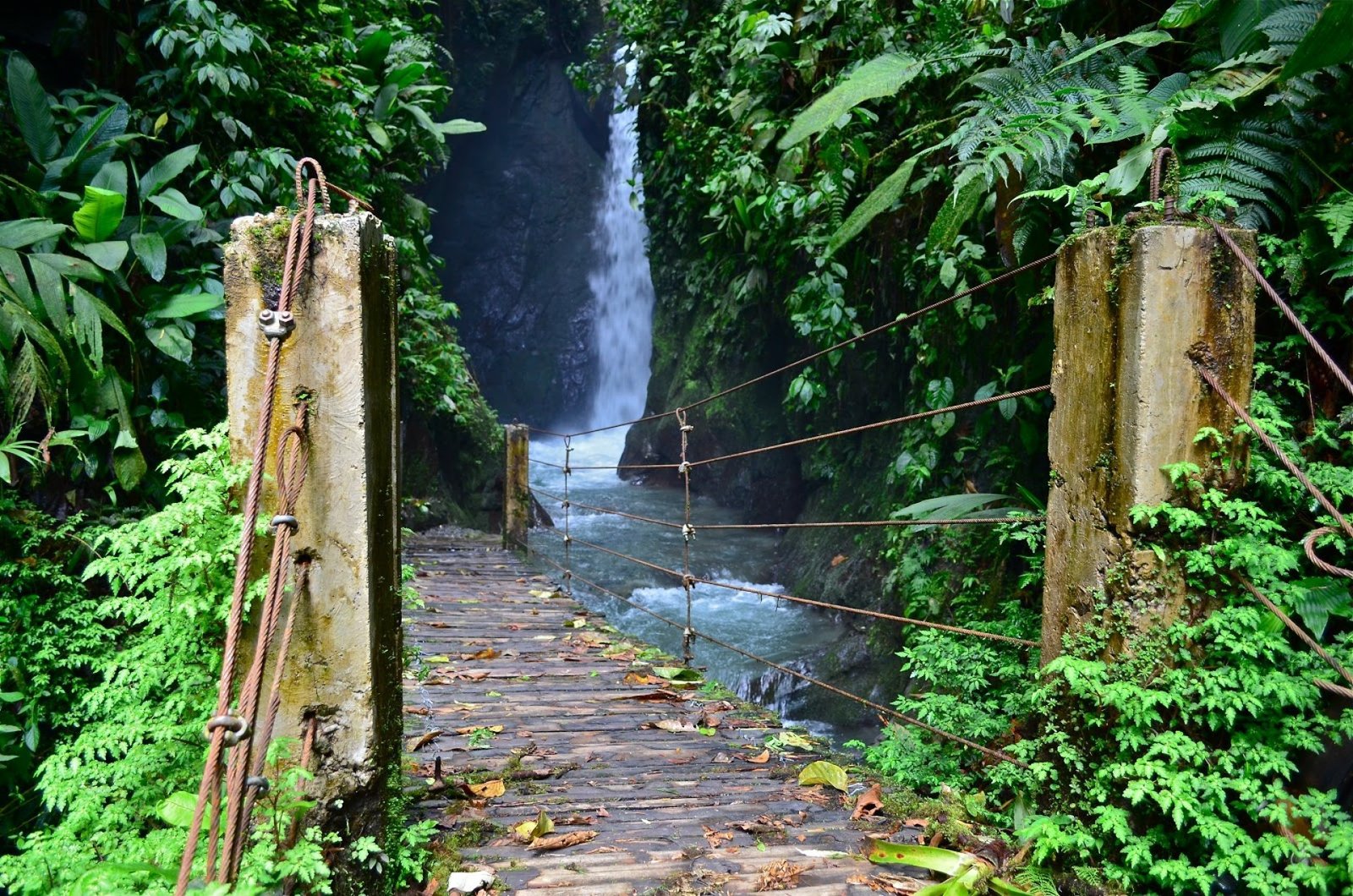 Private Mindo Full Day Tour from Quito | Cloud Forest, Chocolate & Waterfalls