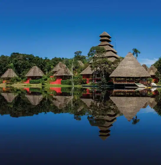 Napo Wildlife Center 7 Days 6 Nights | Yasuni Explorer Tour