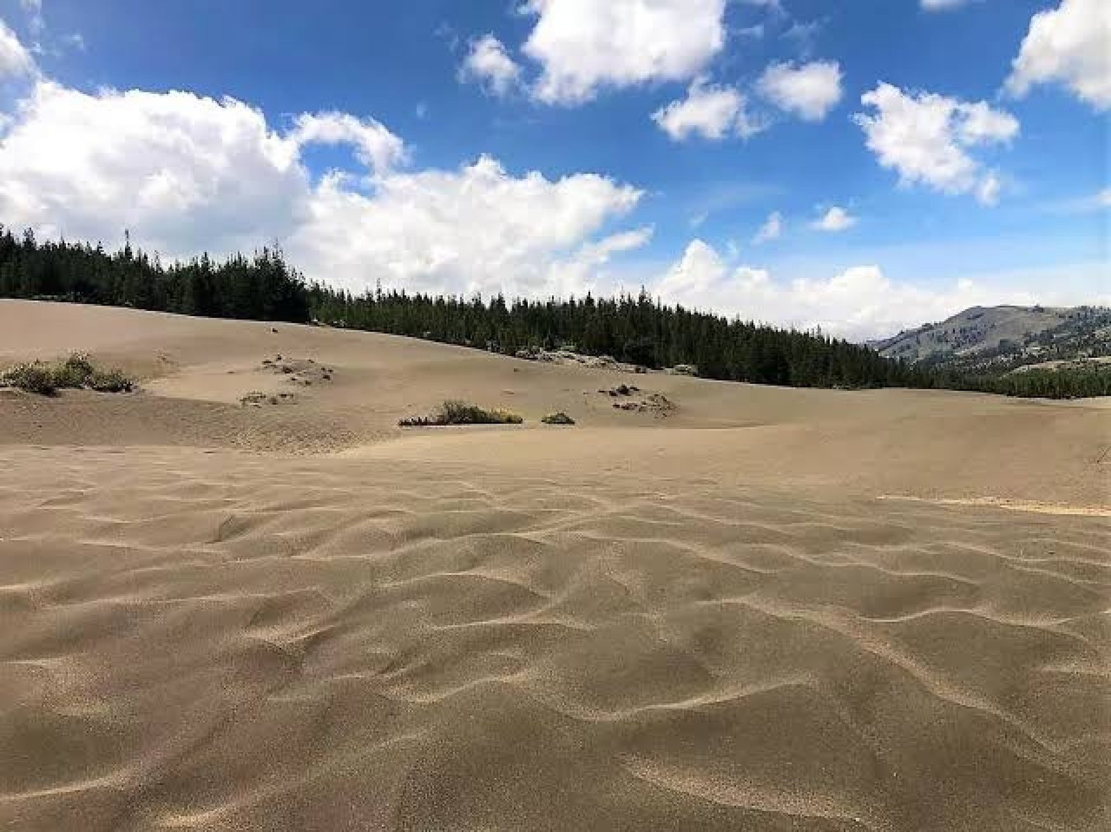 Tour Desierto de Palmira y Laguna de Ozogoche 