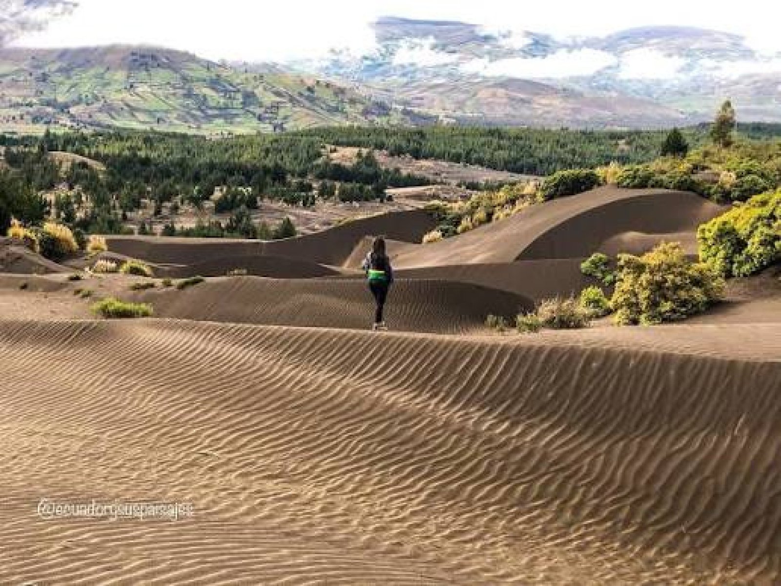 Tour Desierto de Palmira y Laguna de Ozogoche 