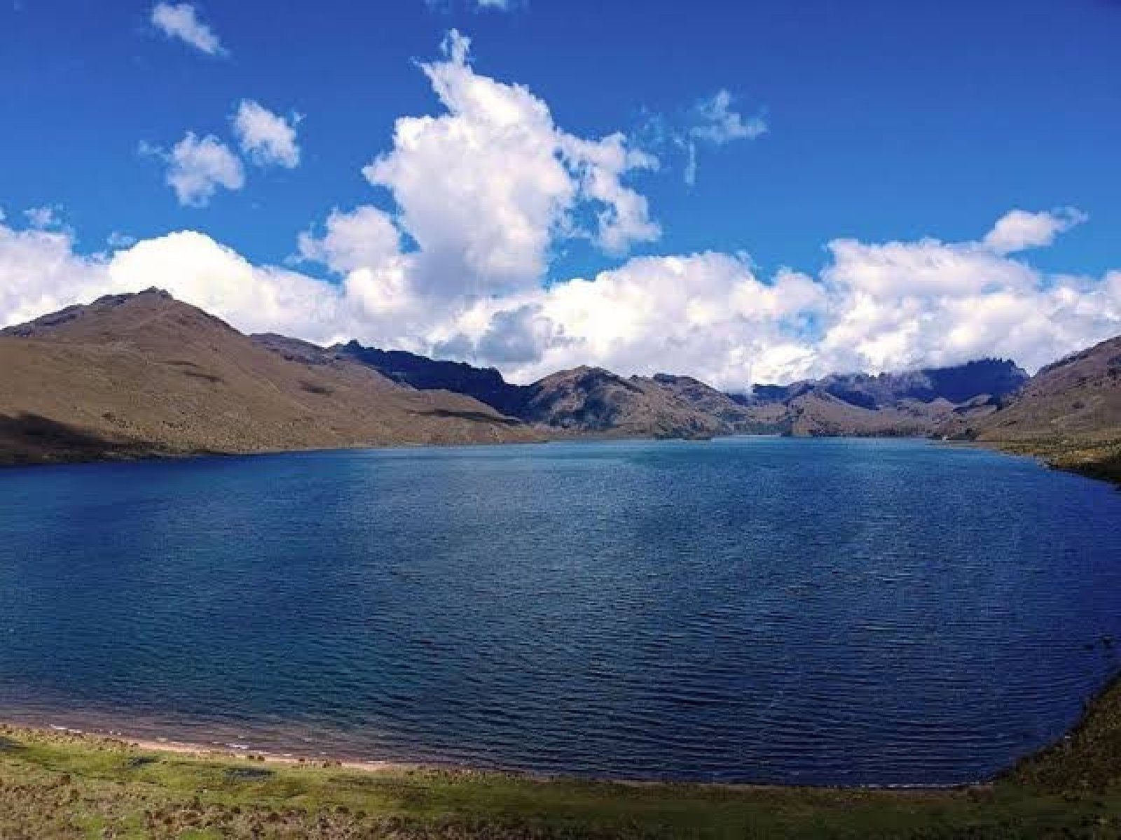Tour Desierto de Palmira y Laguna de Ozogoche 