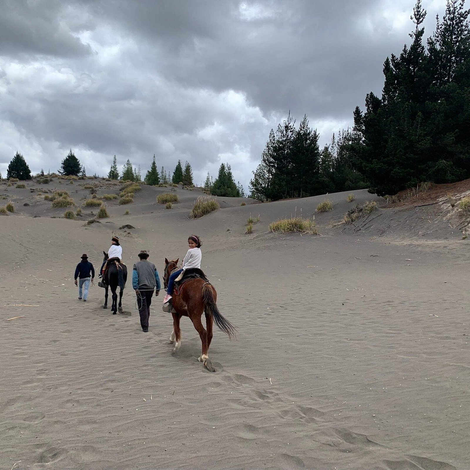 Tour Desierto de Palmira y Laguna de Ozogoche 