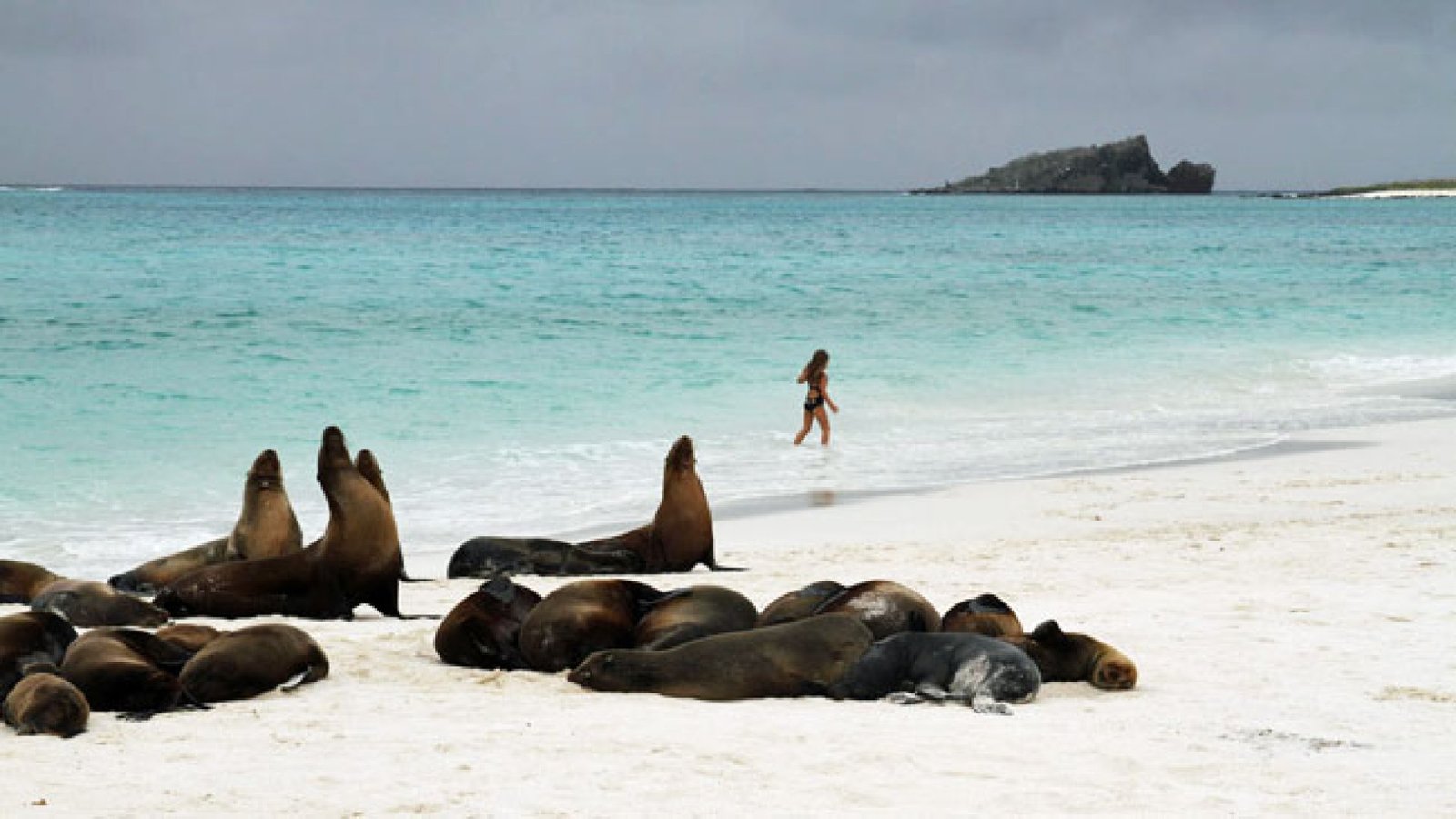 6-Day Galápagos Tour: Santa Cruz, Isabela & San Cristóbal with Sierra Negra Volcano