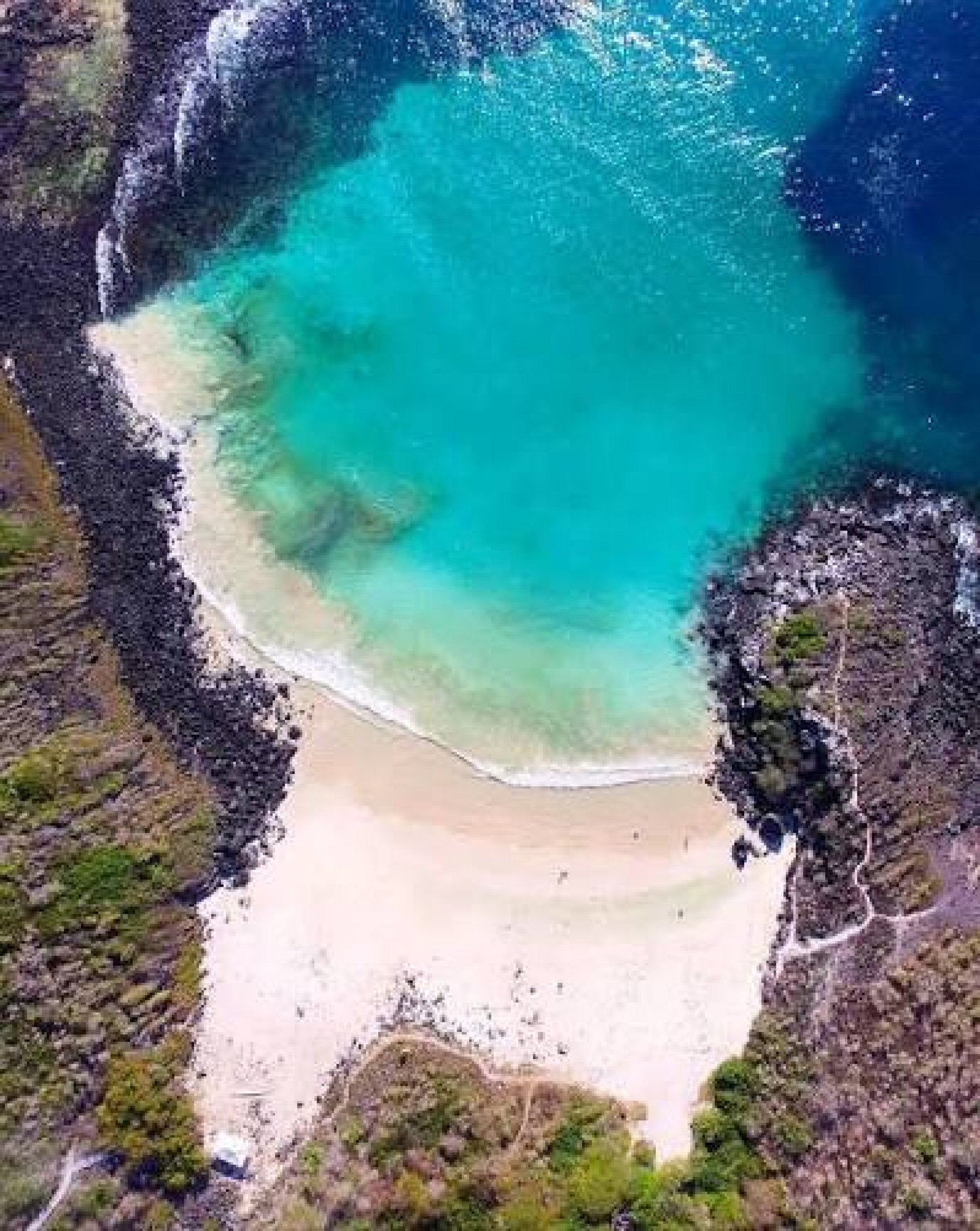 Puerto Chino Beach Tour  | San Cristóbal Galápagos