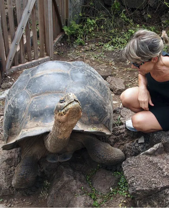 Tortoises Breeding Center (Galapaguera) Tour  | San Cristóbal Galápagos