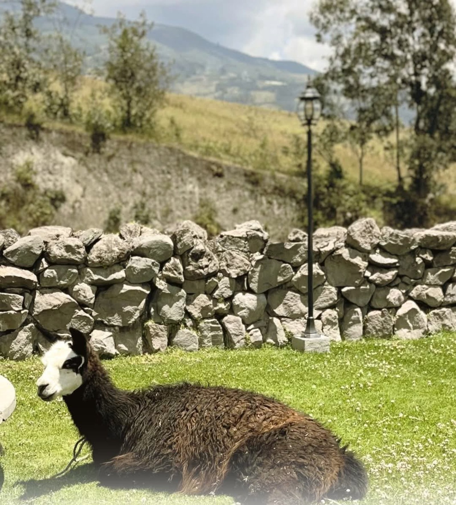 Full Day Otavalo