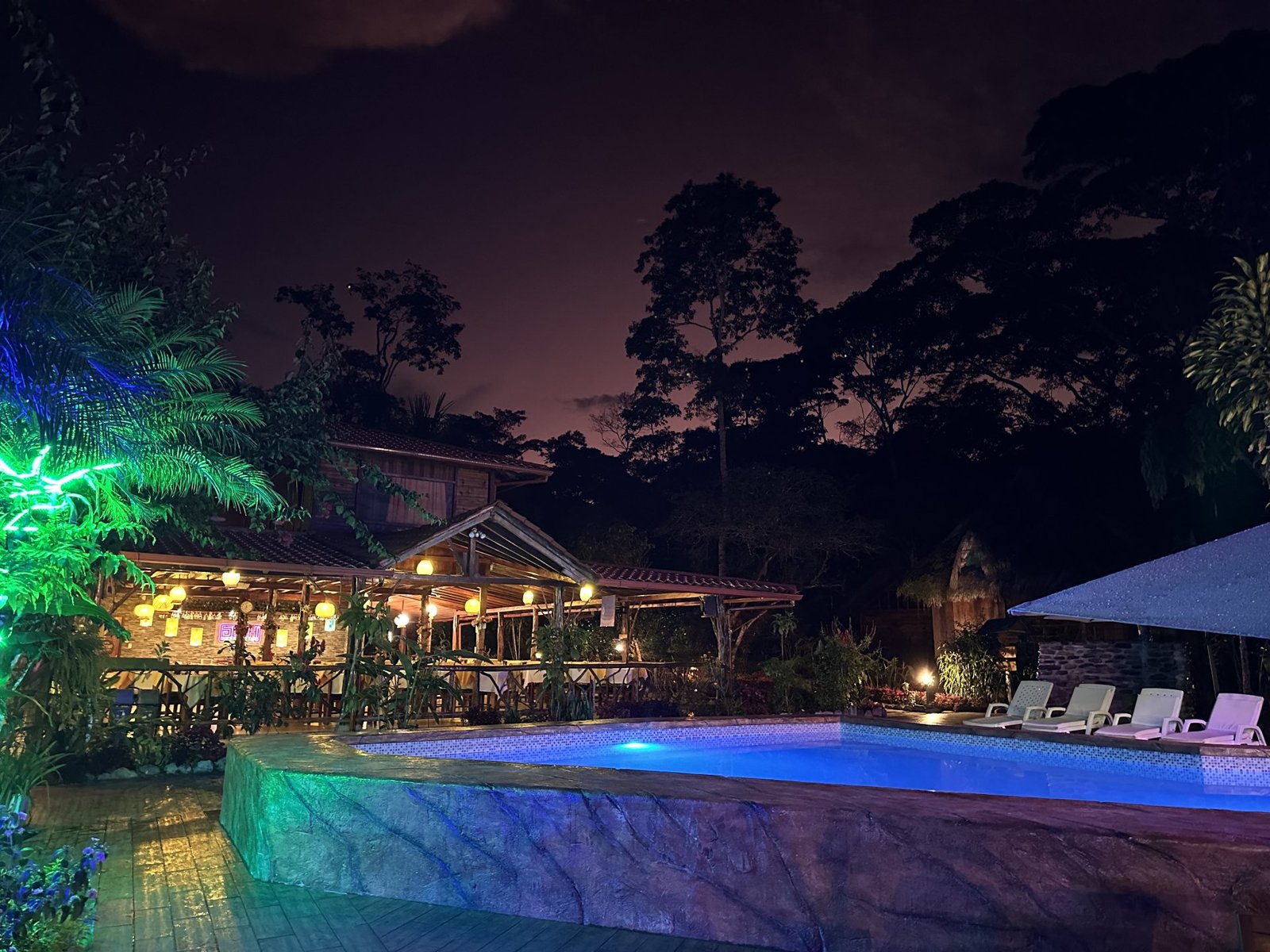 15-Day Ecuador Family Tour | Andes, Amazon & Tena