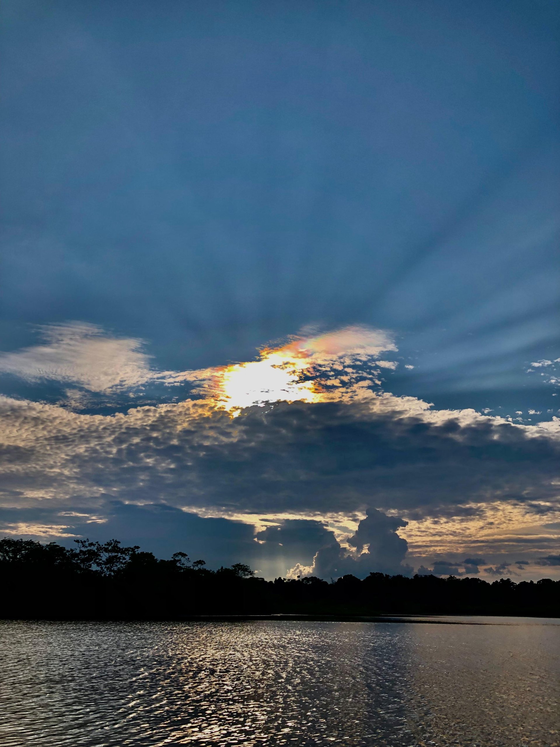 Yasuni Ecuador 4 Days - 3 Nights